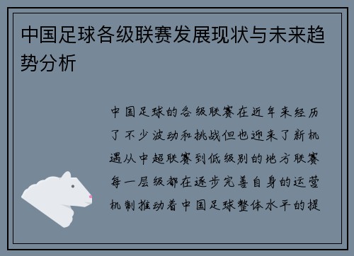 中国足球各级联赛发展现状与未来趋势分析